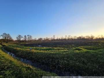 Grünland / Ackerland in Burlage, 26817 Rhauderfehn, Land-/Forstwirtschaft